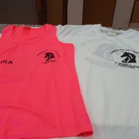 Camiseta despedida
